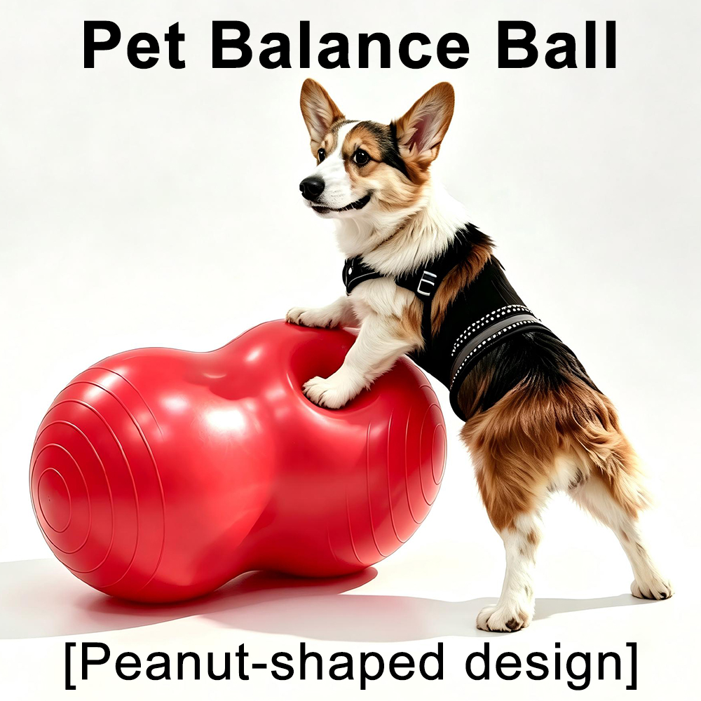 Bosu Ball Balance - Bola de Yoga em PVC Formato