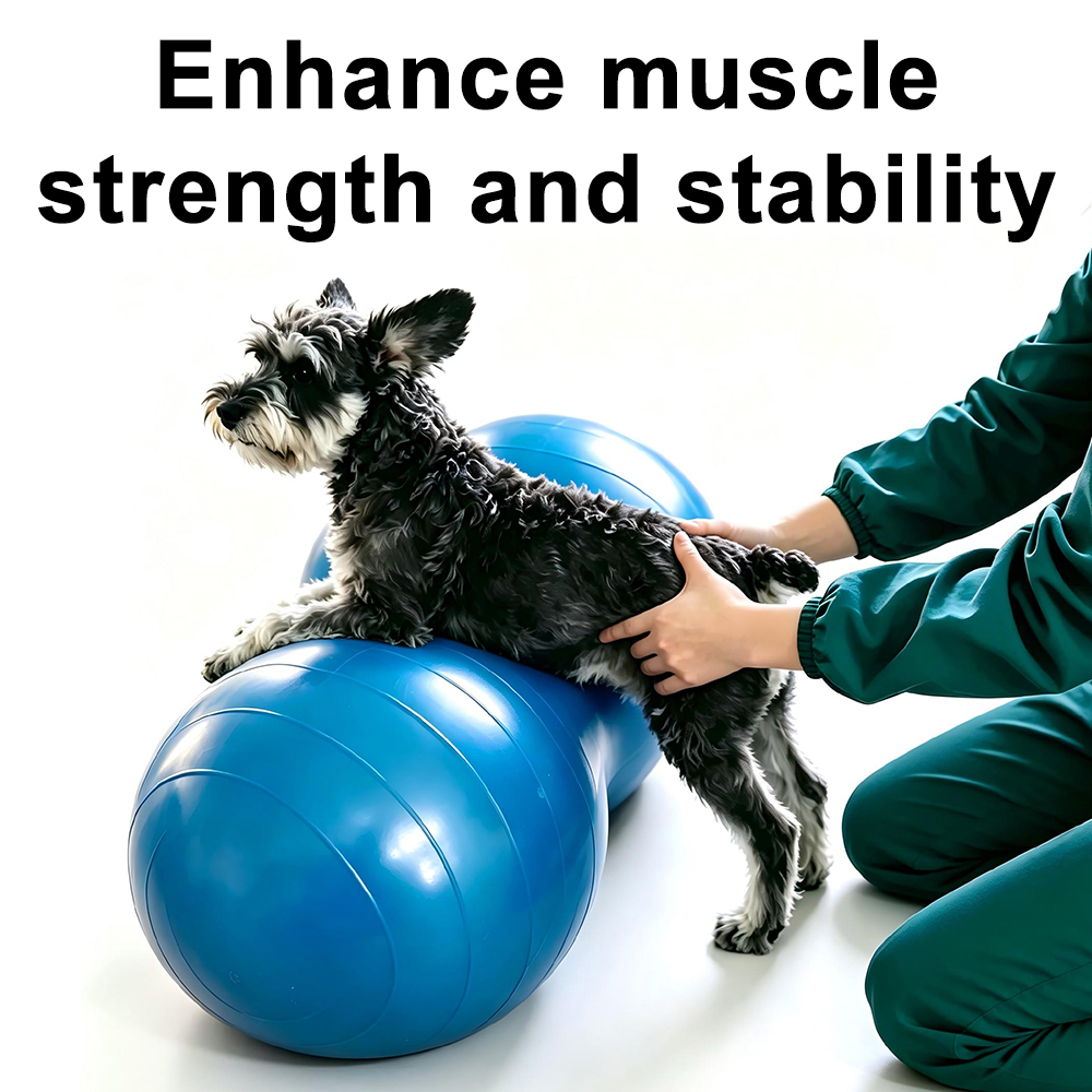 Bola de Yoga em PVC Formato Am - Bosu Ball Balance avaliação e preço